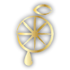 ホームページを開設いたしました!